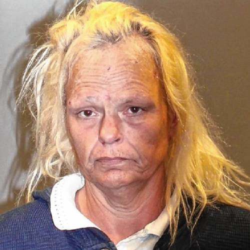 Sheri Sulewski, 58, of Greenfield, has pleaded not guilty in Holyoke District Court to two counts of carrying a firearm without a license.