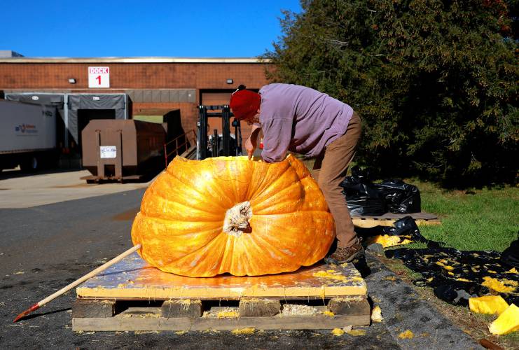 Florence resident Dave Rothstein hallows out a giant pumpkin at Adhesive Applications, where the pumpkin was weighed, Friday afternoon in Easthampton. Rothstein hopes to paddle the pumpkin down the Connecticut River in a world record attempt.