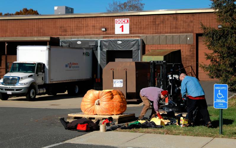 Florence resident Dave Rothstein hallows out a giant pumpkin with the assistance of Joe Sasen at Adhesive Applications, where the pumpkin was weighed, Friday afternoon in Easthampton. Rothstein hopes to paddle the pumpkin down the Connecticut River in a world record attempt.