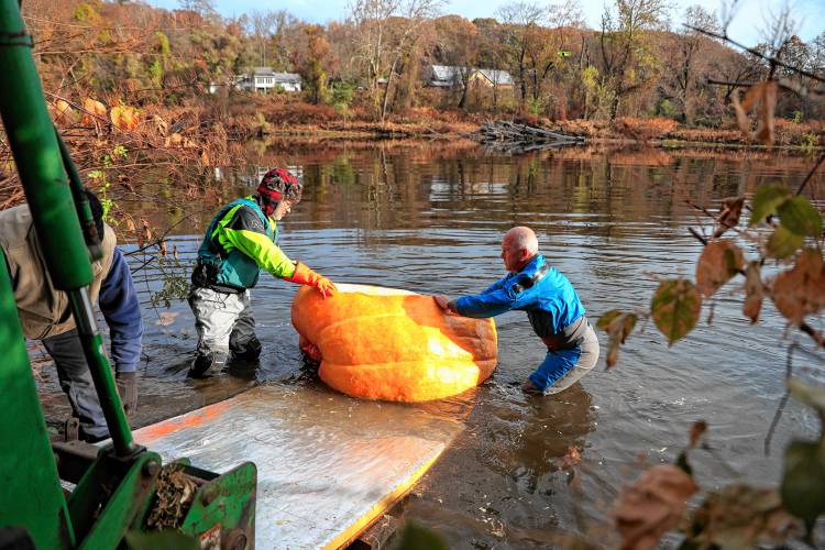 Dave Rothstein, left, and Bill Perry maneuver a giant pumpkin into the Deerfield River on Saturday morning at the Stillwater Bridge in Deerfield as Rothstein attempts to paddle the pumpkin down the Connecticut River in a world record attempt.