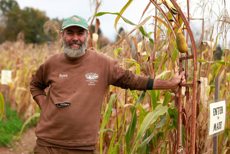 Owner Ryan Voiland stands at the entrance to the popcorn maze at Red Fire Farm in Granby.