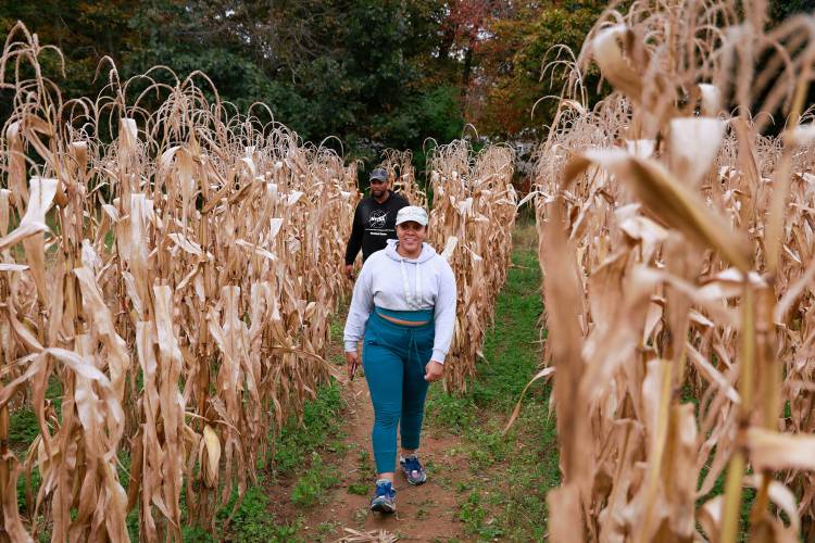 Tanya and Declon Joseph make their way through the popcorn maze with their children Andrew, 15, and Dyani, 10, at Red Fire Farm in Granby.