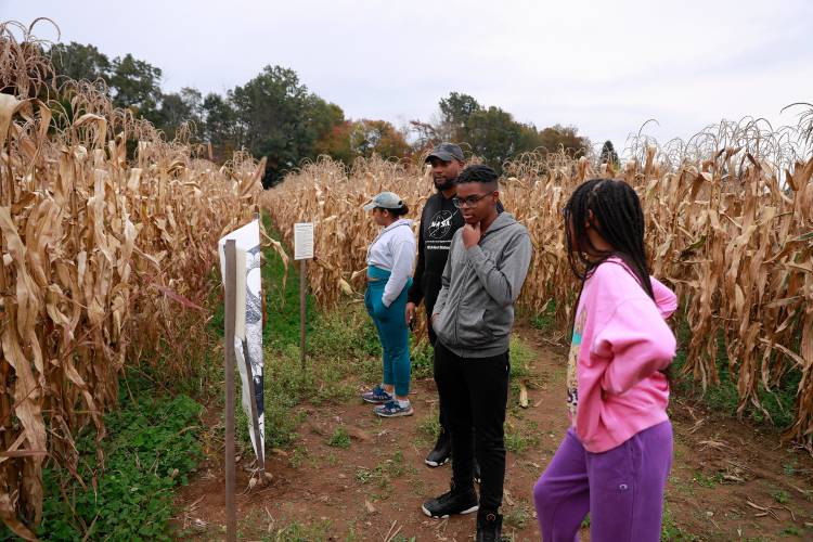 Tanya and Declon Joseph make their way through the popcorn maze with their children Andrew, 15, and Dyani, 10, at Red Fire Farm in Granby.