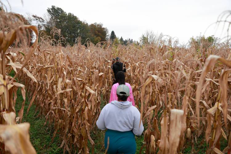 Tanya and Declon Joseph make their way through the popcorn maze with their children Andrew, 15, and Dyani, 10, at Red Fire Farm in Granby.