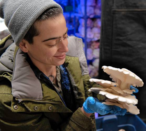 Hunter Linscott of Livingston Mycology holds a Snow White Oyster mushroom.