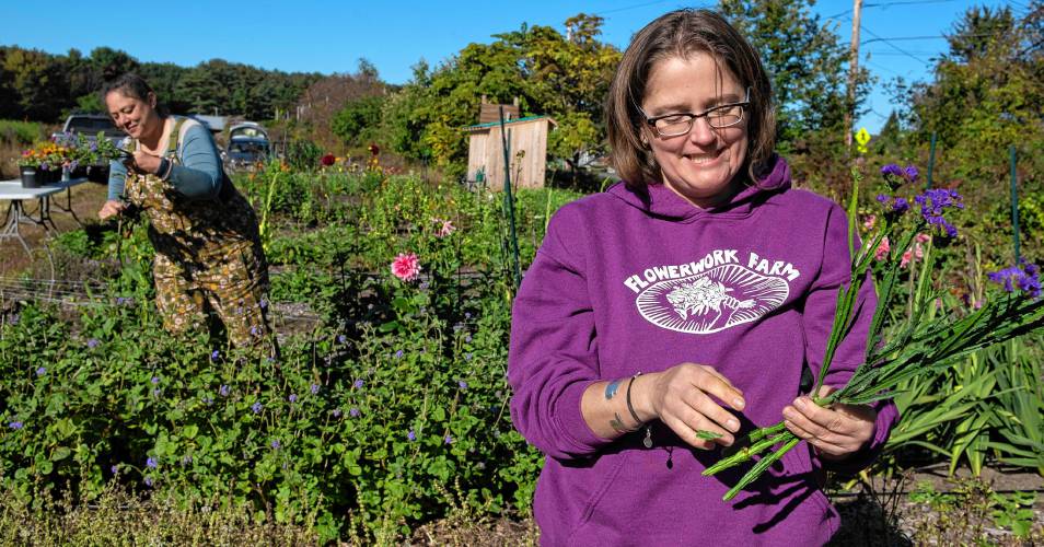 Suna Turgay and Stacia Potter, co-owners of Flowerwork Farm, harvest flowers before making bouquets on Oct. 13.