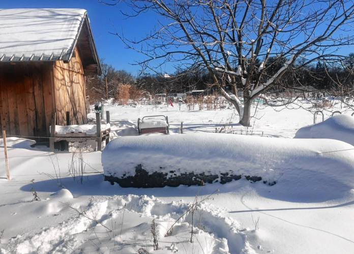 The garden in winter at Grow Food Northampton.