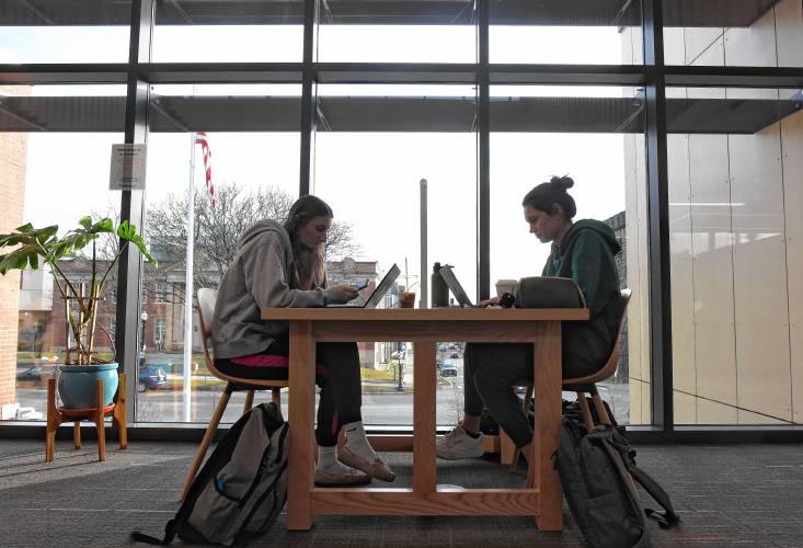 Victoria Marin and Alina Volosenco, both of Greenfield, take advantage of the second floor of the Greenfield Public Library to get some computer time.