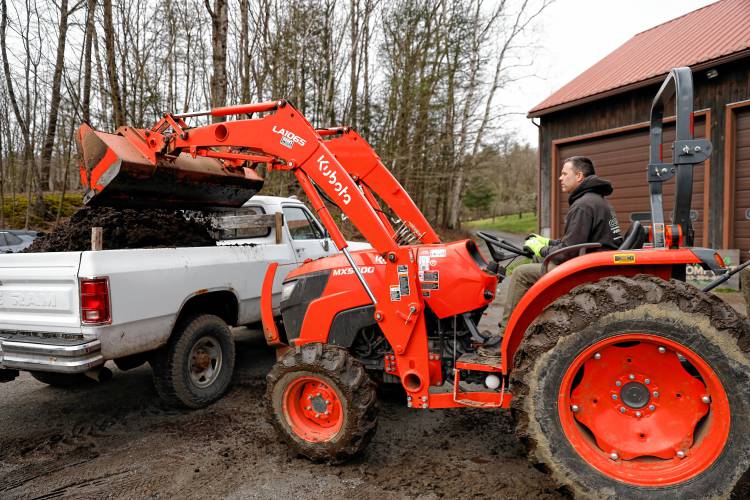 Mark Melnik delivers a load of compost into a customer’s truck bed Saturday morning at Bear Path Compost in Whately.