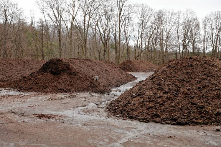 Windrows of compost Saturday morning at Bear Path Compost in Whately.