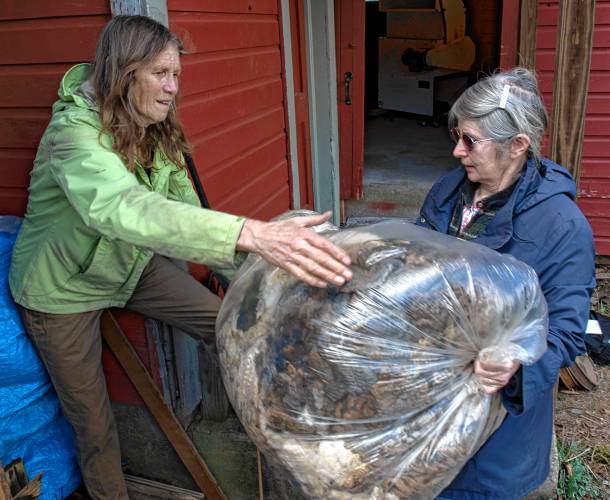 Peggy Hart, left, an organizer for Western Mass Fibershed and owner of Bedfellow Blankets in Shelburne Falls, and Barbara Goodchild, of Barberic Farm in Shelburne, unload bags of waste wool Goodchild is donating to Western Mass Fibershed to make into wool pellets.