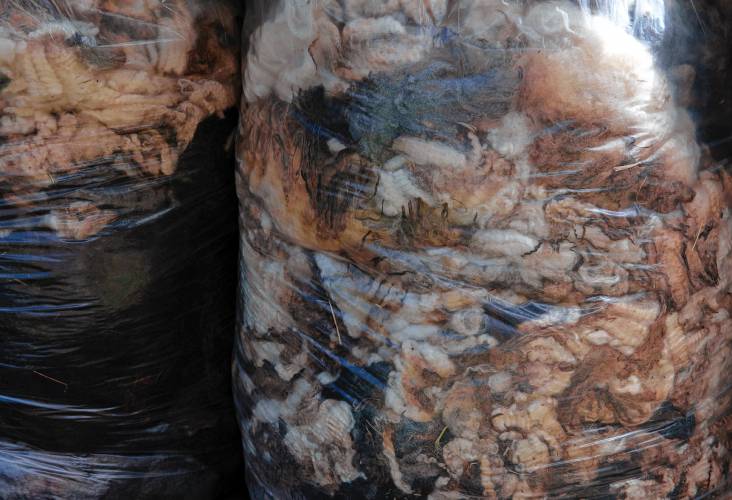 Bags of waste wool being donating to Western Mass Fibershed to make into wool pellets. The pellets are then used for fertilization and water retention.