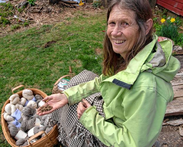 Peggy Hart, an organizer for Western Mass Fibershed and owner of Bedfellow Blankets in Shelburne Fall, holds wool pellets used for fertilization and water retention.