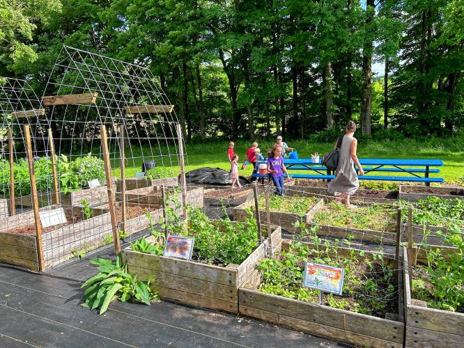 Students, teachers, parents, and local farmers collaborate at the Gill Elementary School to create and maintain gardens on school property. GES recently received a grant from the Greenfield Garden Club to enhance their project.