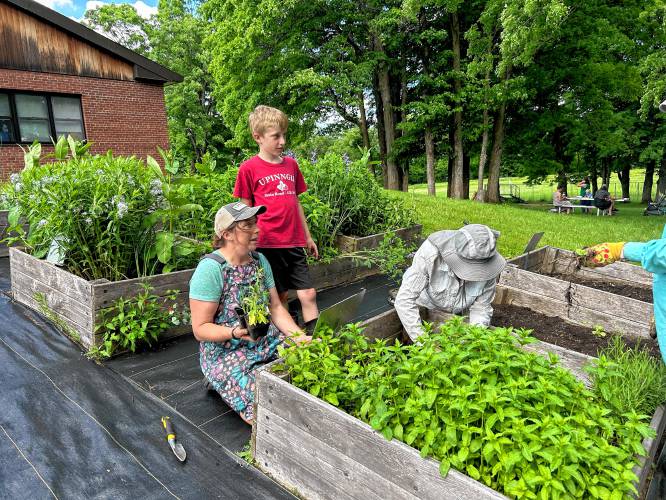 Gill farmer Sorrel Hatch, manager of Upinngil Farm, is part of the Farm to School Committee at Gill Elementary School, where her three children attend as the third generation of GES students in their family.