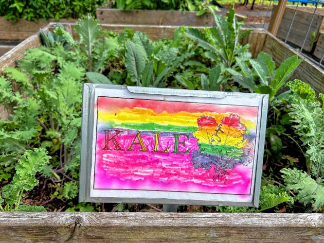 A grant from the Greenfield Garden Club enabled participants in the garden project at Gill Elementary School to purchase stable, waterproof holders for their handcrafted signs.