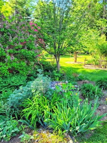 The Greenfield Garden Club’s 28th Garden Tour takes place this Saturday, with Sunday as a rain date in case of torrential downpours. Tickets are available at the John Zon Senior Center starting at 9:30 am.