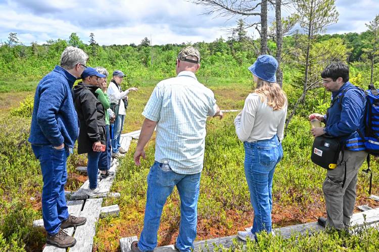 The Nature Conservancy and the Five College Consortium led a celebration on Tuesday marking 50 years since the Hawley Bog was declared a National Natural Landmark. The event was an opportunity to highlight the rich array of insects and plants at the bog.