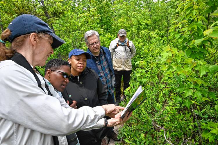 The Nature Conservancy and the Five College Consortium led a celebration on Tuesday marking 50 years since the Hawley Bog was declared a National Natural Landmark. The event was an opportunity to highlight the rich array of insects and plants at the bog.