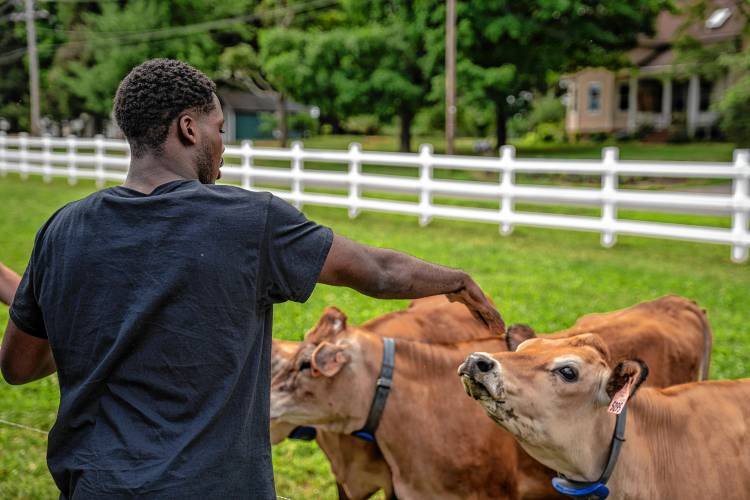 Incoming UMass freshman Nate Guerengomba takes part in the team’s community service appearance at Mapleline Farm in Hadley on Monday.