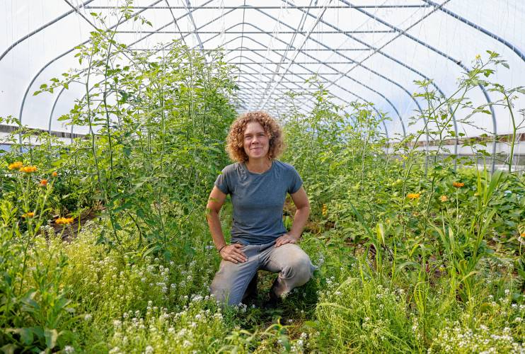 Stony Hill Farm owner Alice Colman at the farm in Wilbraham on a recent morning.