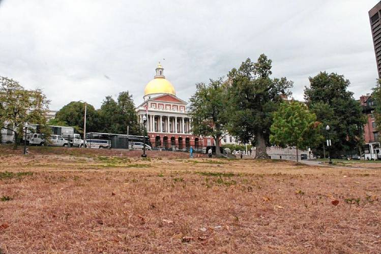 A lack of rain in the summer of 2016 took a toll on properties around Massachusetts, including Boston Common.