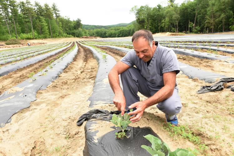 Dr. James Arcoleo, pictured at Falls Farm in 2021. Following wetlands violations and erosion that stemmed from tree clearing on 3 acres of land, Arcoleo is continuing to discuss a restoration and mitigation plan with town officials in Sunderland and Montague.