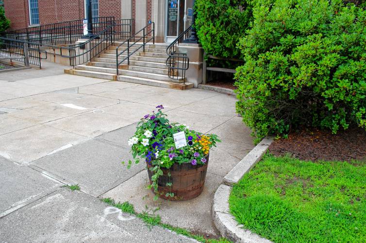 Kathleen Kenny is tending to this whiskey barrel filled with flowers outside the Post Office in Greenfield as part of the Blooming Greenfield program.