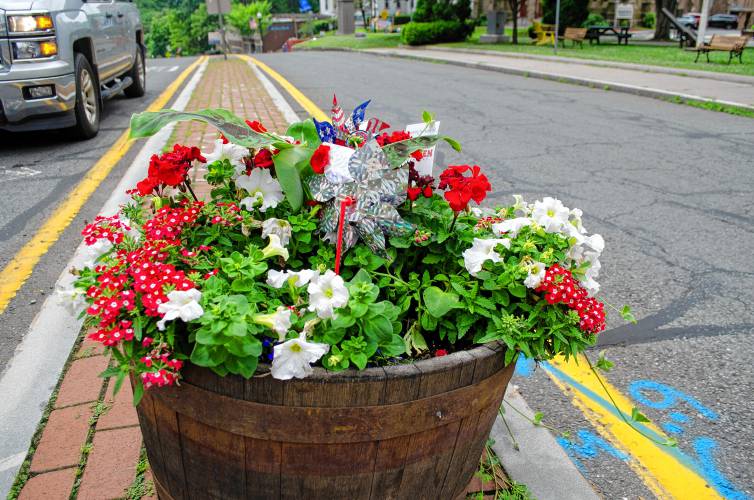 Kathleen Kenny is tending to this whiskey barrel filled with flowers on the median strip on Main Street in Greenfield as part of the Blooming Greenfield program.