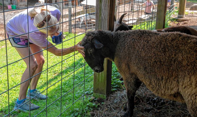 Kathy LeMay, co-owner of Jefferson’s Safe Haven in Leverett, says hello to Lou.