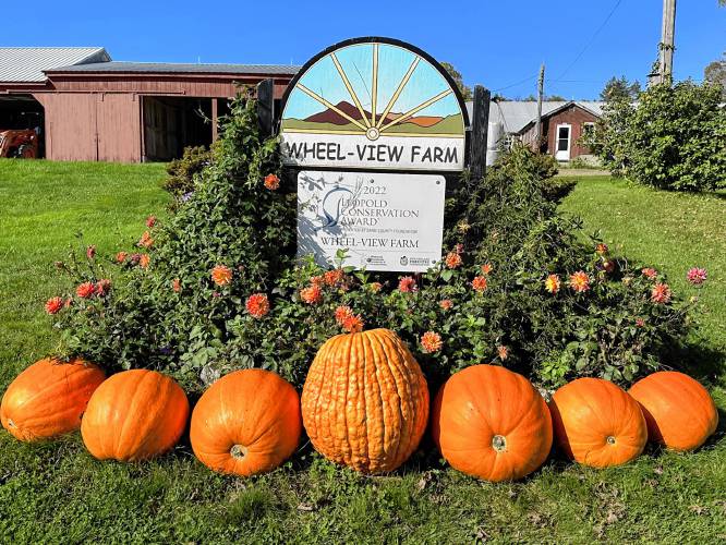 In addition to China Doll dahlias and impressive pumpkins, the Wheel-View Farm sign in Shelburne shares space with evidence of the farm’s Leopold Conservation Award. In 2022, Wheel-View was the only farm in New England to earn the coveted distinction, which involves a grueling application process. John and Carolyn Wheeler and their extended family represent six generations of farming in a spectacular Franklin County spot.