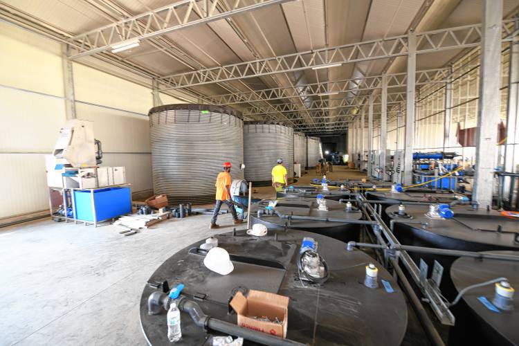 Water storage tanks and smaller fertilizer tanks in large additional labs/greenhouses being built across the road from Nourse Farms’ headquarters in Whately. 