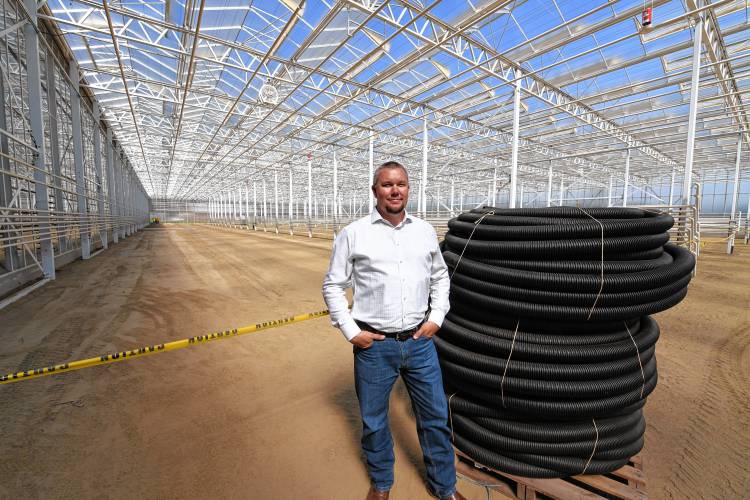 Nourse Farms CEO John Place stands in one of the new 2.5-acre greenhouses being built across the road from the farm’s headquarters in Whately.