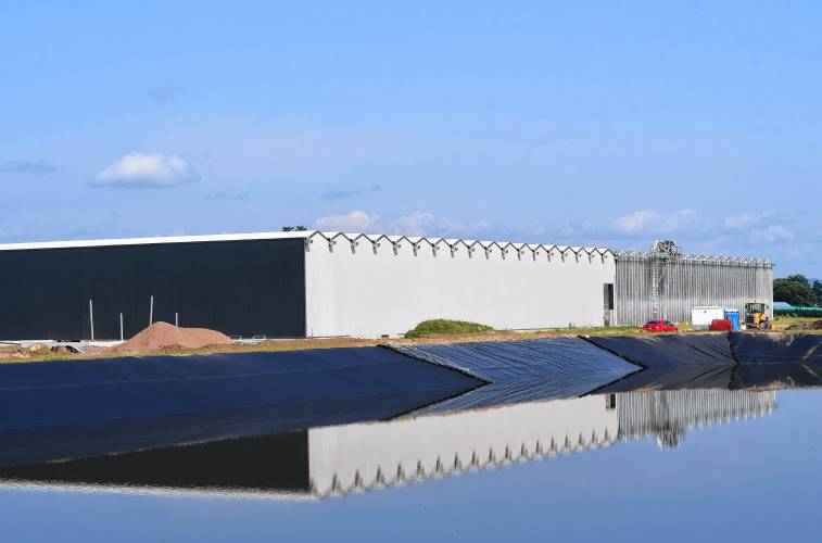 A 4.5-million-gallon retaining pond will store water captured by the roofing system of the new labs/greenhouses being built across the road from Nourse Farms’ headquarters in Whately. 