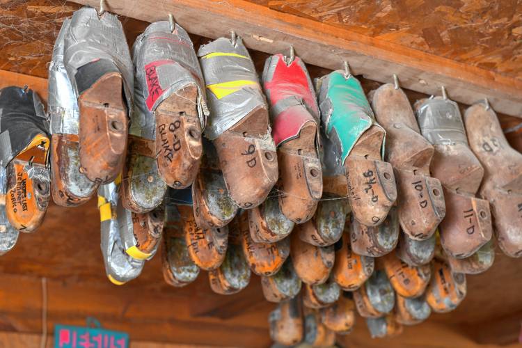 Size molds for shoe pairs at Jolly Walkers Clown Shoes in Wendell.