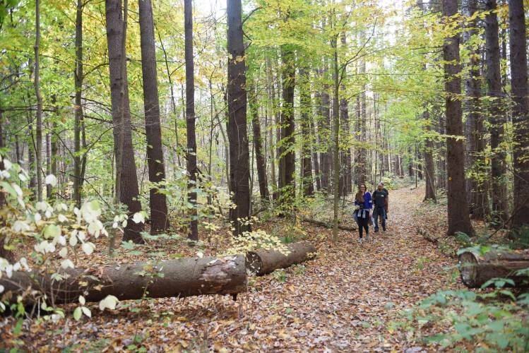 Shelburne has received a $9,000 grant to establish a trailhead for a trail along the Deerfield River connecting to the Mahican-Mohawk Trail, pictured in 2020.