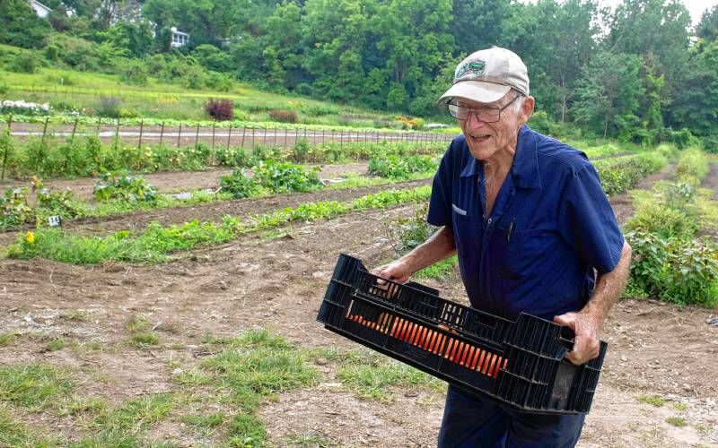 Bill Gillen, co-owner of Sunset Farm in Amherst, walks with tomatoes to be boxed.