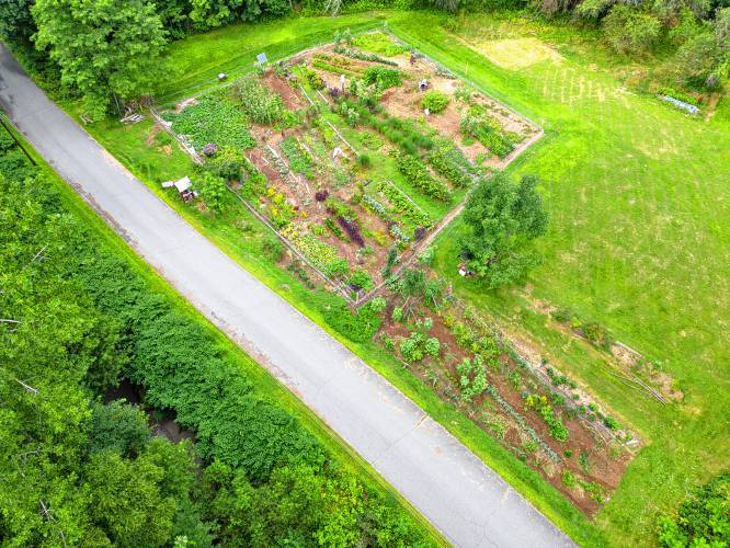 Jon Lagrèze dreamed of being a farmer from early childhood and today grows produce on a third of an acre in the Foundry Village neighborhood of Colrain.