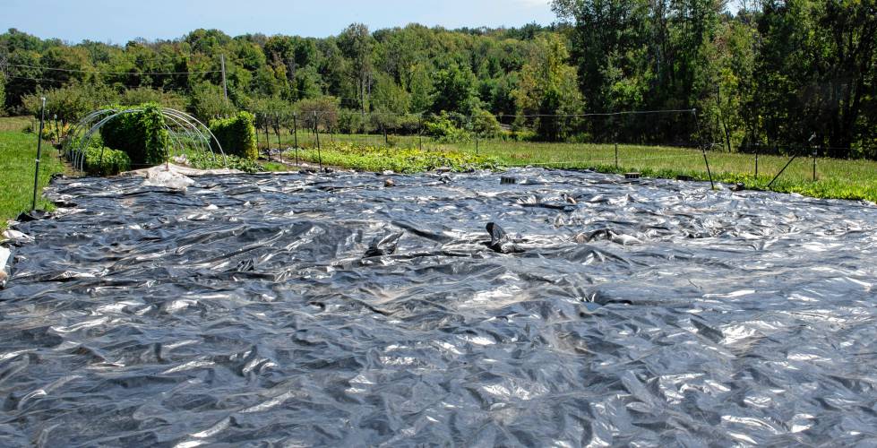 A trap covers a portion of Stonebridge Farm in Chesterfield where a “high tunnel” — an adaptation strategy some farms use to protect plants from extreme weather — will be installed. The premise behind the strategy is to grow plants under cover, whether that’s small “caterpillar tunnels” over single rows of plants or larger “high tunnels” covering a whole area.