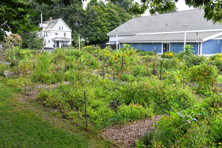 A few years after the creation of a dozen 10-by-20-foot plots, a generous local farmer, Everett Hatch, used his tractor to convert more of the land, resulting in a total of 40 plots.