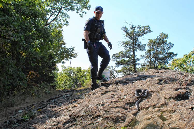 Greenfield Police Officer Marcus Johansson releases a possibly endangered snake near Poet’s Seat Tower in Greenfield on Thursday.