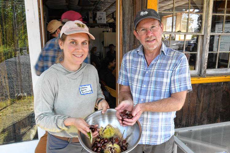 Ellena Baum and Jono Neiger of Big River Chestnuts in Sunderland.