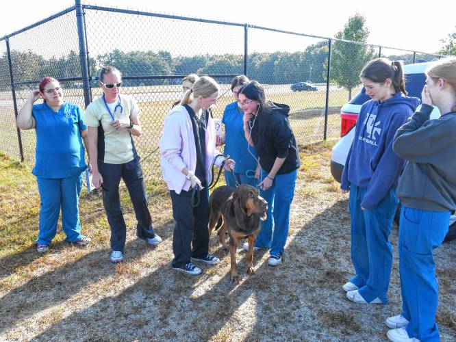 Students in Franklin County Technical School’s veterinary program check out tracking dogs at the Orange Municipal Airport on Monday. The event was organized by the Northeast Houndsmen to get the dogs used to the sounds and feel of flying in a small plane. 