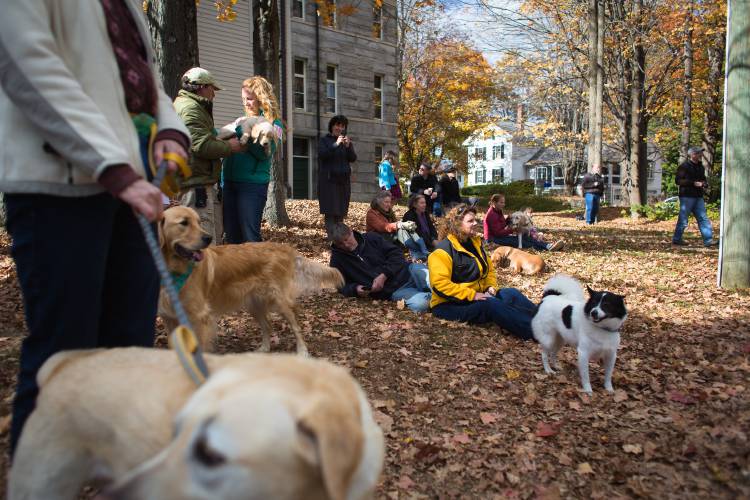 Participants in the Friends of the Dickinson Memorial Library’s annual dog show in 2015 watch the judging in Northfield. The event returns Saturday, Oct. 5.