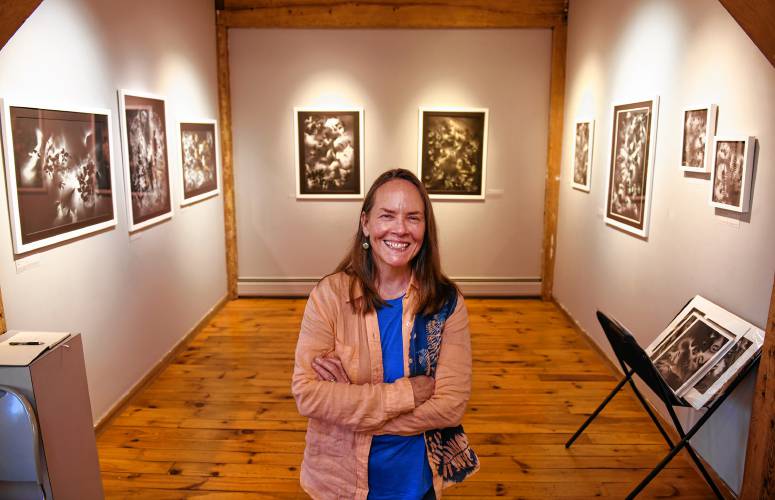 Madge Evers with her show “Madge Evers: The New Herbarium” that is on display at Salmon Falls Gallery in Shelburne Falls until Oct. 28.