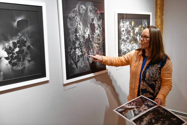 Madge Evers explains her technique for producing the prints in her show “Madge Evers: The New Herbarium” that is on display at Salmon Falls Gallery in Shelburne Falls.