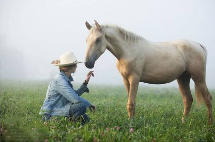 Erin O’Neil is a horse trainer whose work with feral horses in abandoned Appalachian coal fields is being supported by Regenerative Farms, a nonprofit founded by Ashfield resident Mary Johnson.