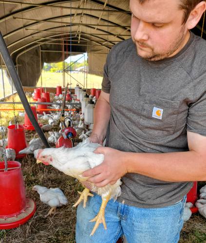 Peter Laznicka of Reed Farm in Sunderland, a small-scale poultry farm and processor, holds a chicken in the hoop house. The farm takes strict biosecurity measures to ensure its 10,000 chickens don’t get sick.