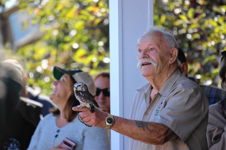 Tom Ricardi of the Birds of Prey Rehabilitation Center in Conway gives a birds of prey demonstration at Apex Orchards in Shelburne on Oct. 6. Watching as a bald eagle flies overhead, Ricardi is pictured holding a northern saw-whet owl.