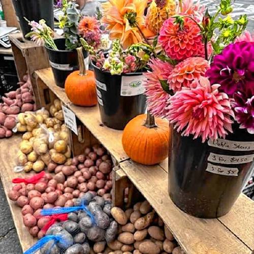 For the second year, the Greenfield Public Library will host the winter farmers market, where locals and visitors can obtain a wide variety of produce, crafts, prepared foods, and other items while enjoying live music and camaraderie.